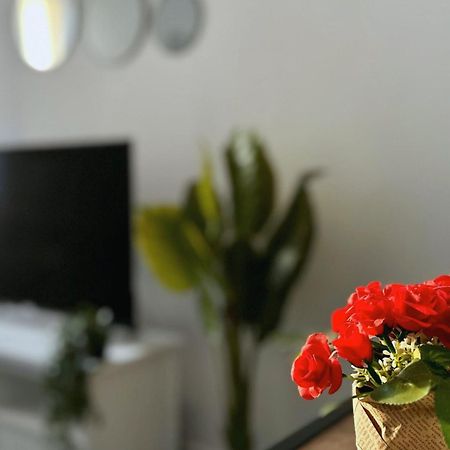 Cosy Palm Beach, Studio Pres De La Mer Et De La Croisette Cannes Exteriér fotografie