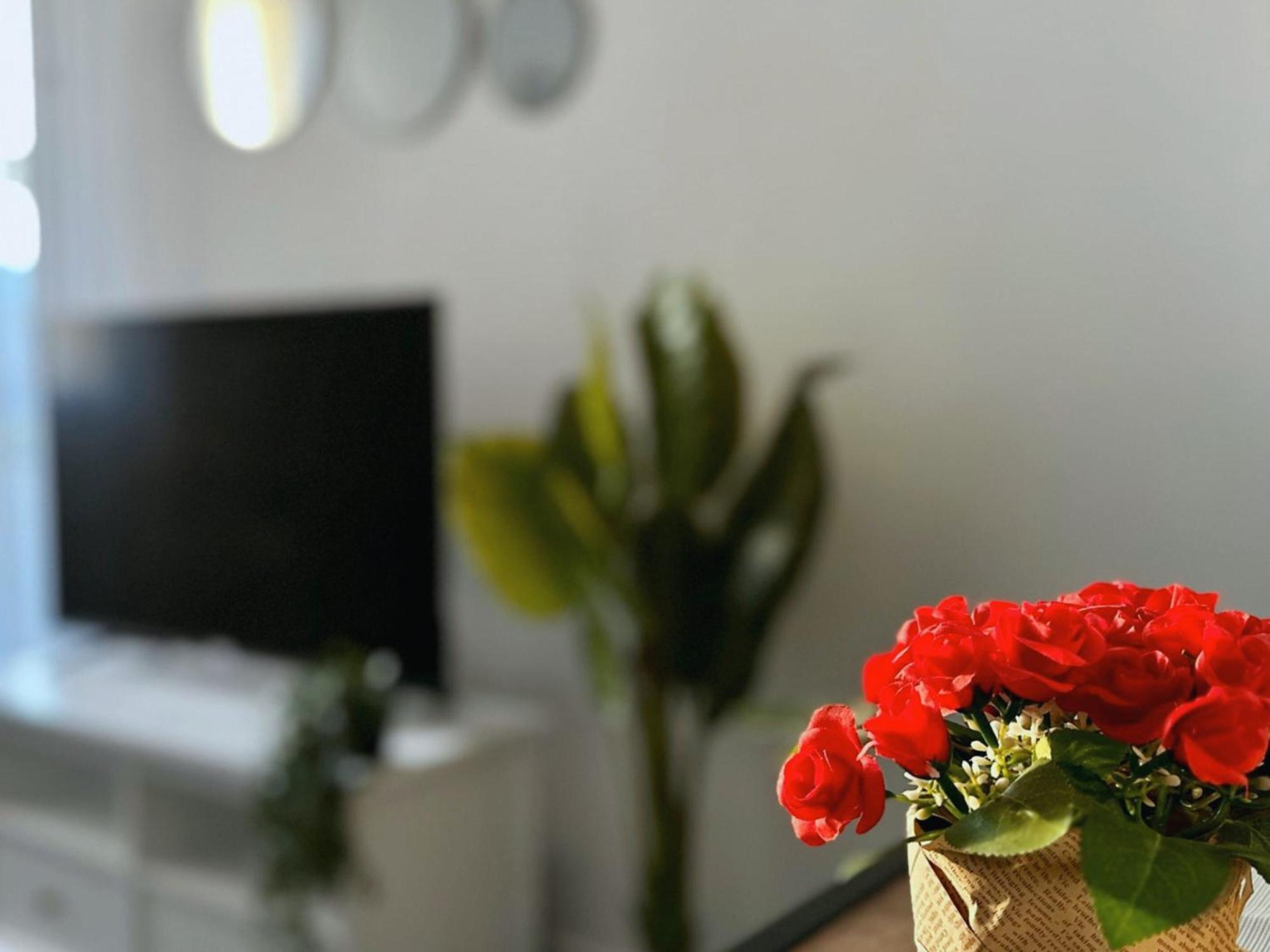 Cosy Palm Beach, Studio Pres De La Mer Et De La Croisette Cannes Exteriér fotografie